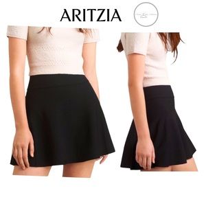Aritzia Talula Vanderbilt Skirt